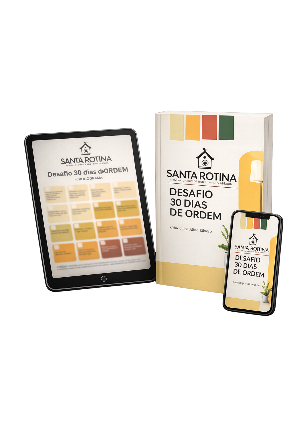 Desafio 30 Dias de Ordem