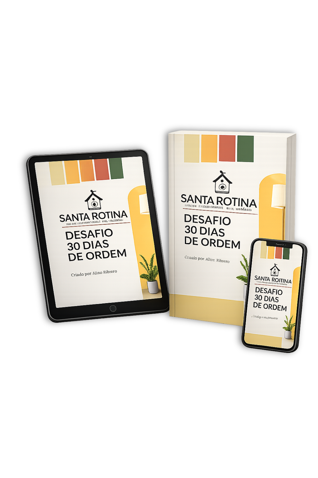 Desafio 30 Dias de Ordem